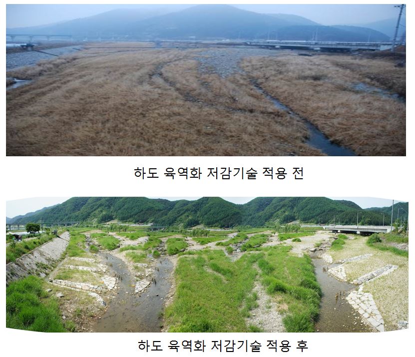 현대건설, 하천 생태계 복원 신기술 개발