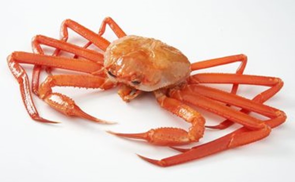 마포농수산물시장 킹크랩 가격 폭락, 1Kg당 3만 5천원?! '헉! 노량진수산시장은 6만원 안팎?' 이유가 뭐야?