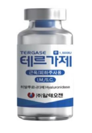 [하이&로우] 