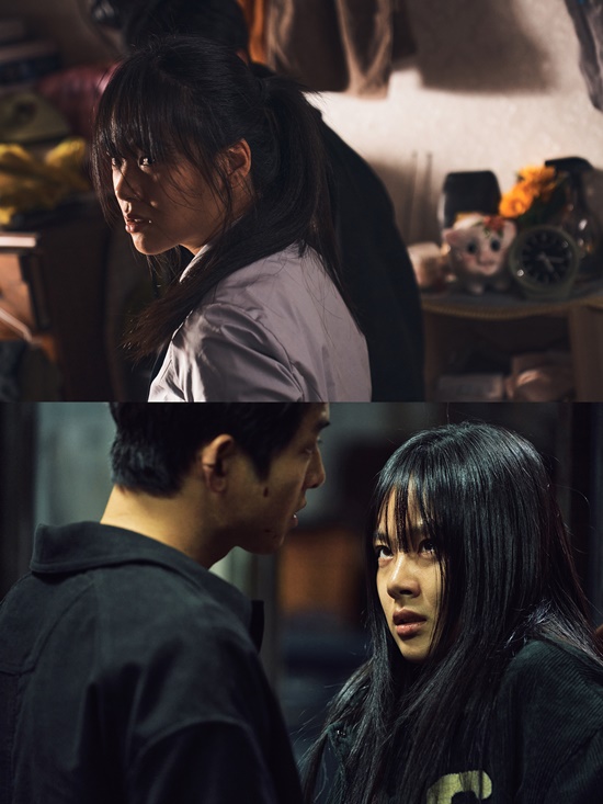 화란 이미지