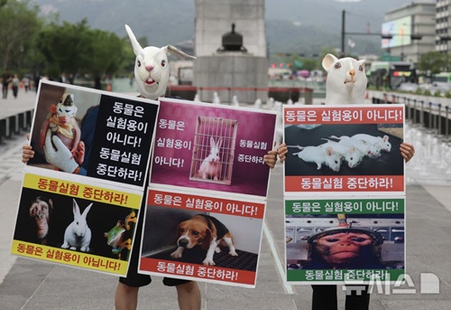 동물실험 대신 인공 장기...국내 제약·바이오, 오가노이드 시장 노크 - 뉴스 썸네일 이미지