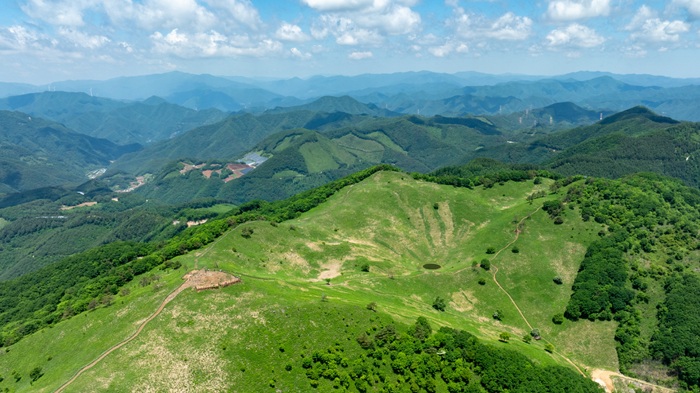 2026 정선 민둥산 돌리네 셔틀버스 보도 사진